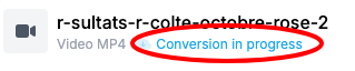 upload_file_conversion_inprogress.png